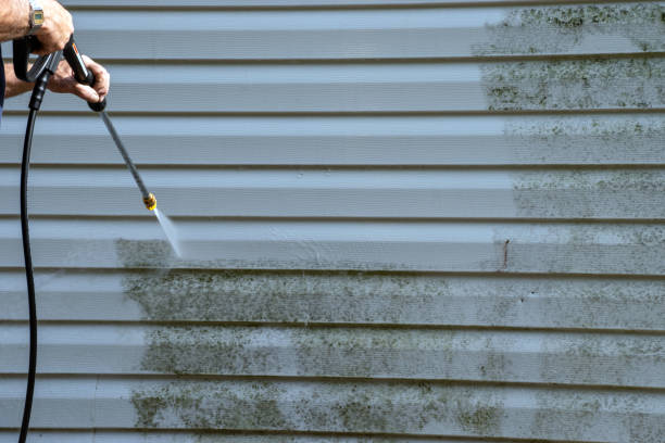 Best Hoarding Cleanup  in Big Timber, MT