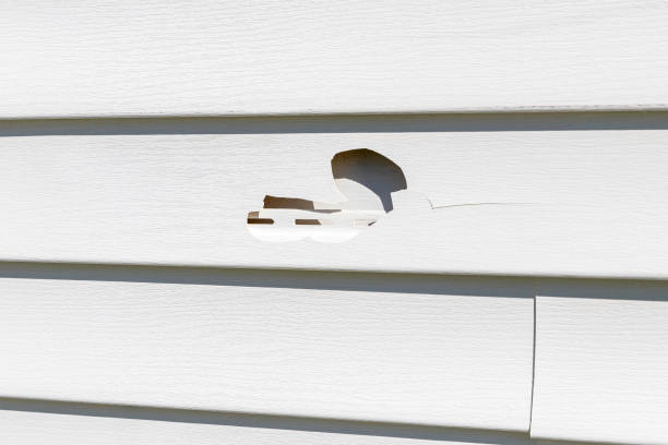 Trusted Big Timber, MT Junk Removal Experts